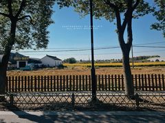 -喜洋洋蟹庄(阳澄湖店)