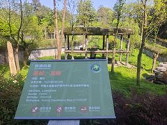-中国大熊猫保护研究中心雅安碧峰峡基地