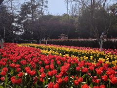 -花溪公园
