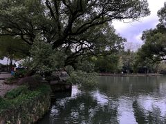 -西溪国家湿地公园