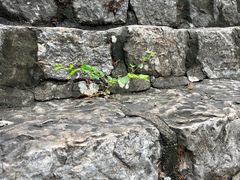 -云龙山