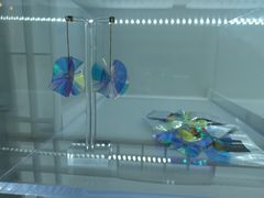 -chi K11艺术空间展览厅