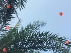 -港悦广场