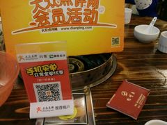 -鸭嘴鱼