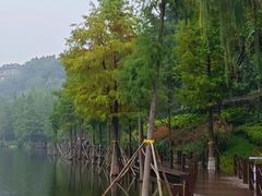 -重庆彩云湖湿地公园