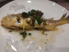 -新光酒家·河豚·海鲜·蟹料理(浦东店)