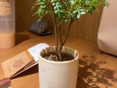 -CURRY YA 熟成咖哩專門店(深圳湾万象城店)