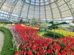 -芽庄珍珠岛游乐园