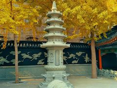 -长安寺