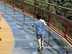 -少华山国家森林公园