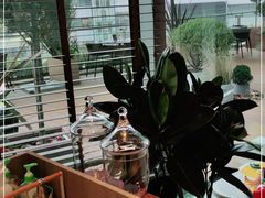 靠窗位-La Terre乐田(万象城店)