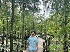 -池杉湖湿地公园