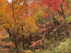 -关门山森林公园