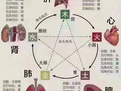 -裕和堂中医推拿艾灸(太古汇臻品店)