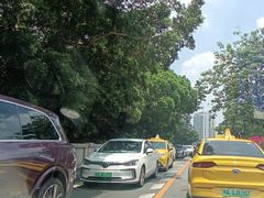 -广州白天鹅宾馆