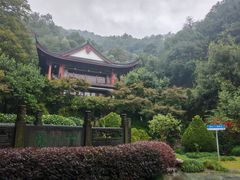 -十八棵（老龙井）御茶园(老龙井店)