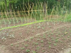 -长兴岛郊野公园农场食堂