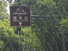-广州市帽峰山景区