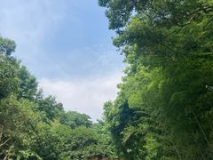 -岳麓山风景名胜区