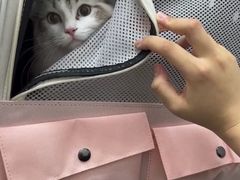 -中农大我爱我爱动物医院·核磁CT·猫病·24小时夜诊中心(石佛营店)