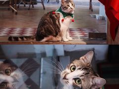 -echoes coffee回响咖啡(888街店)