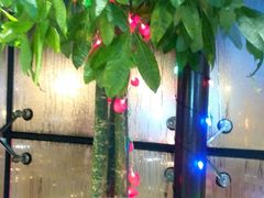 -何鲜菇火锅(大营盘店)