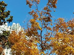 -苏州河梦清园环保主题公园