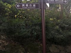 -黄葛古道