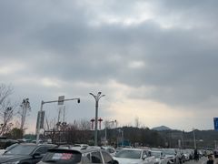 -庐山风景名胜区-东林大佛