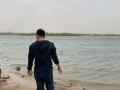 -丁香湖公园