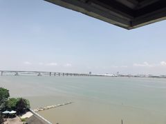 -大湾区中央湿地公园