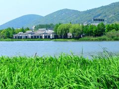 -长广溪湿地公园