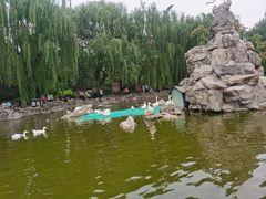 -团结湖公园