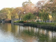 -东山湖公园