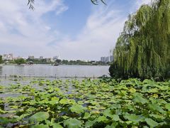 -济南大明湖景区