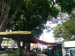 景观位-阿龙榴莲摊