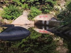 -六里坪国家森林公园