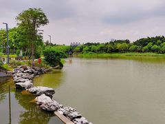 -海珠湖公园