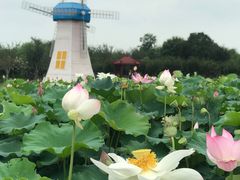 -武汉紫薇都市田园