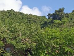 -如家旗下-广州火车站钟表城华驿精选酒店