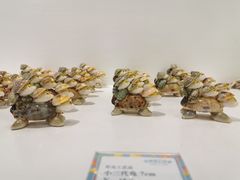 -鼓浪屿内厝澳码头(轮渡站)