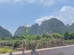 -明仕田园