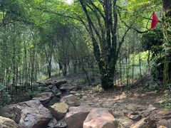 -帽儿山风景区