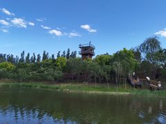 -东郊湿地公园