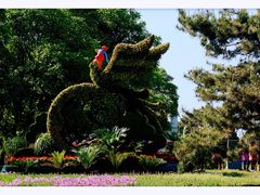 -国家植物园