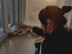 -Heymao猫咖.咖啡厅(东门店)
