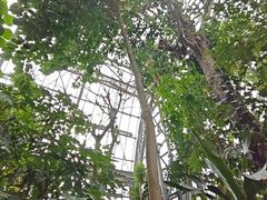 -南山植物园