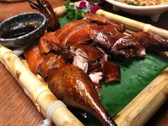 -老滇山寨•云南特色菜•地方菜•民族风情歌舞表演(金碧店)