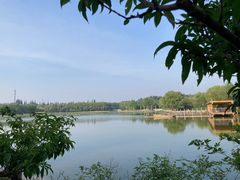 -廊坊市自然公园