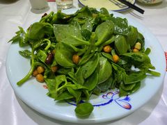 穿心莲-小柒家第一锹东北菜(城关店)